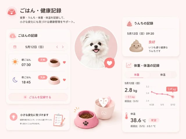 ごはん・健康記録